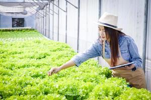 mooi Aziatisch vrouw Doen landbouw, toenemen salade groenten in kassen met hydrocultuur systemen. nieuw landbouw, groeit groenten zonder bodem. bedrijf concept van biologisch voedsel. kopiëren ruimte foto