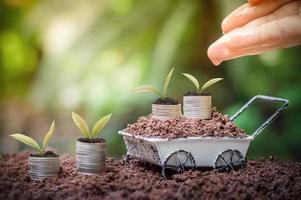 dichtbij omhoog van vrouw hand- koesteren en gieter een jong planten is groeit omhoog Aan stack van munten voor bedrijf investering of besparing concept foto