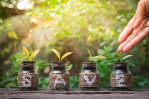 dichtbij omhoog van hand- koesteren en gieter een jong planten in de glas fles Aan oud houten tafel voor bedrijf investering groei of besparing concept foto