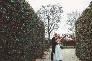 bruiloft paar Aan een wandelen in een mooi park in de stad van Wenen foto