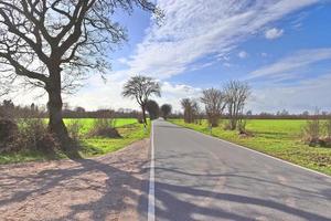 mooi visie Aan platteland wegen met velden en bomen in noordelijk Europa foto