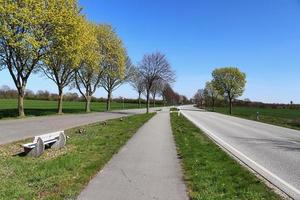 mooi visie Aan platteland wegen met velden en bomen in noordelijk Europa foto