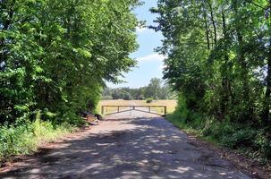 mooi visie Aan platteland wegen met velden en bomen in noordelijk Europa foto