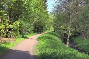 mooi visie Aan platteland wegen met velden en bomen in noordelijk Europa foto