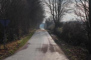 mooi visie Aan platteland wegen met velden en bomen in noordelijk Europa foto