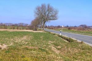 mooi visie Aan platteland wegen met velden en bomen in noordelijk Europa foto