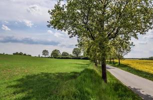 mooi visie Aan platteland wegen met velden en bomen in noordelijk Europa foto