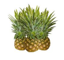 vers ananas Aan wit foto