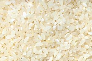achtergrond - ongekookt gepolijst middengraan rijst- foto