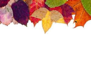 een kant kader van veelkleurig herfst bladeren foto