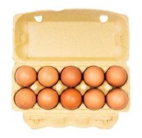 top visie van tien bruin kip eieren in doos geïsoleerd foto