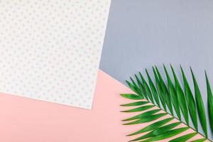 tropisch palm bladeren Aan kleur papier achtergrond foto