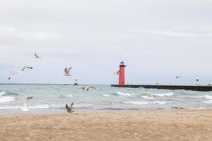 meeuwen nemen uit van de zanderig strand Aan de kust van meer Michigan. vuurtoren pier in de afstand. grijs bewolkt lucht. voetafdrukken in de zand. golven rollend in. boeien markering de haven. foto