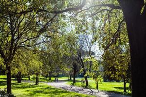 groen stedelijk park van villa borghese tuinen in Rome foto