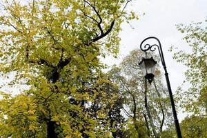 middeleeuws stedelijk lantaarn en herfst boom foto