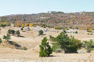 landschap van berg plateau ai-petri in Krim foto