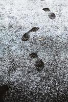 menselijk voetafdrukken Aan trottoir gedekt door eerste sneeuw foto