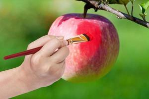 penseel verven rood rijp appel in tuin foto