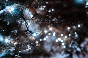 Kerstmis boom met kegels Aan een stad straat verlichte met een guirlande. foto