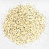 stapel van quinoa granen dichtbij omhoog Aan grijs foto