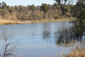 mabula bushveld dam foto