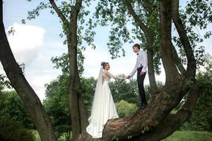 bruid en bruidegom op de boom foto
