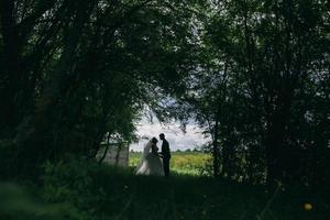 mooi bruiloft paar Aan natuur foto