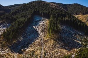 ochtend- in de bergen. Karpaten Oekraïne, Europa. foto