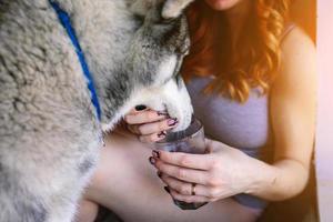 vrouw voeden een hond foto