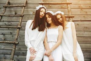 drie charmant meisjes Aan een ladder in de buurt een houten huis foto