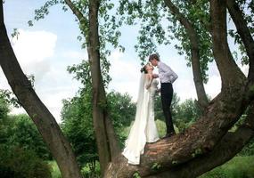 bruid en bruidegom op de boom foto