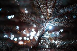 Kerstmis boom met kegels Aan een stad straat verlichte met een guirlande. foto