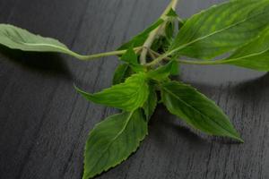 bergamot bladeren Aan houten achtergrond foto