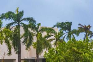 orkaan 2021 playa del carmen Mexico extreem wind storm onweer. foto