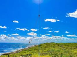 fregat vogels kudde vliegen blauwe hemel achtergrond contoy eiland mexico. foto