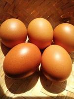 eieren geïsoleerd op een witte achtergrond foto