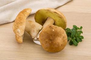 boletus paddestoel Aan houten achtergrond foto