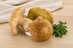 boletus paddestoel Aan houten achtergrond foto