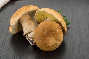 boletus paddestoel Aan houten achtergrond foto