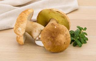 boletus paddestoel Aan houten achtergrond foto