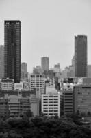 hoog en medium gebouwen met bomen in voorgrond in Osaka foto