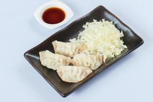 gyoza, drooggebakken knoedels geïsoleerd Aan wit achtergrond foto