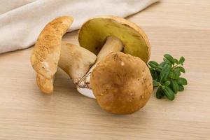 boletus paddestoel Aan houten achtergrond foto