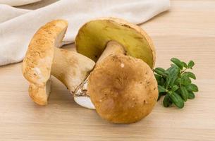 boletus paddestoel Aan houten achtergrond foto