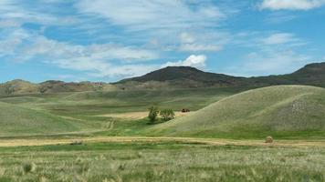 een trekker Bij werk in de rollend groen heuvels van western Montana. foto