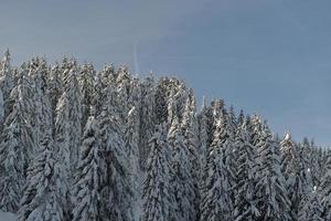 berg winterlandschap foto