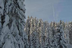 winter berglandschap foto