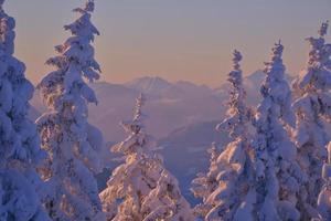 berg winterlandschap foto