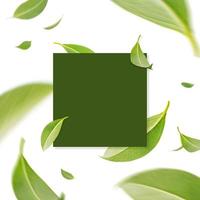 creatief modern kaart ontwerp van vliegend werveling groen bladeren in de lucht met papier kaart, natuur concept door thee blad, vlak leggen foto