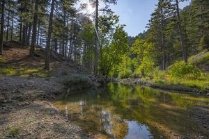 berg waterval in een rotsachtig kloof overwoekerd met groen Woud. stroom van ijzig water valt Aan bemost stenen. foto